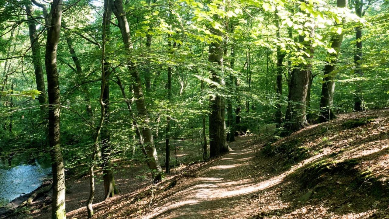 Itm Hotel Bettkaestchen Am Sachsenwald Reinbek Exteriér fotografie